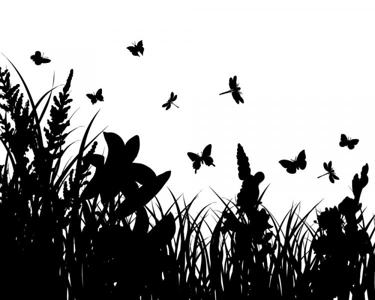 free vector Several grass and butterflies silhouette vector